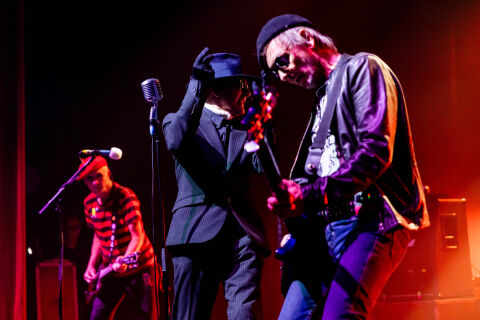 The Damned