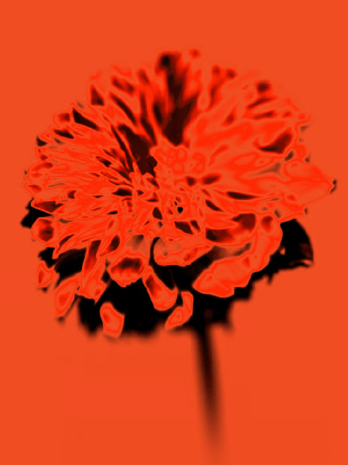 Open Season 2026 Strengthens Brisbane’s Position in Australia’s Winter Festival Circuit